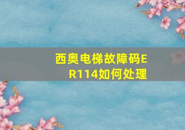 西奥电梯故障码ER114如何处理