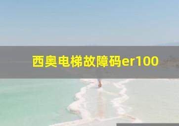 西奥电梯故障码er100