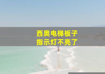 西奥电梯板子指示灯不亮了