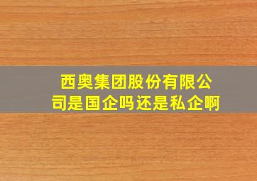 西奥集团股份有限公司是国企吗还是私企啊