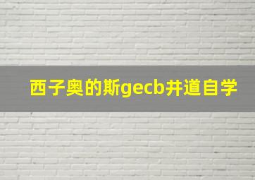 西子奥的斯gecb井道自学