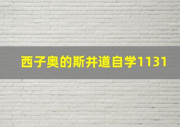 西子奥的斯井道自学1131