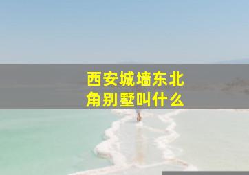 西安城墙东北角别墅叫什么