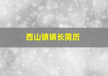 西山镇镇长简历