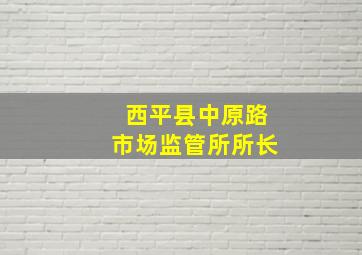 西平县中原路市场监管所所长