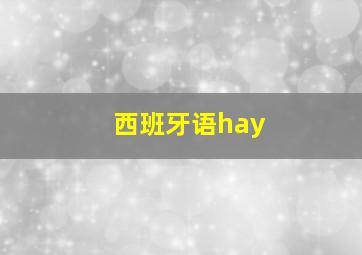 西班牙语hay