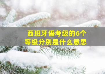 西班牙语考级的6个等级分别是什么意思