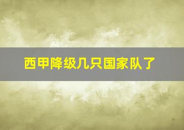 西甲降级几只国家队了