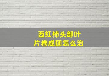 西红柿头部叶片卷成团怎么治