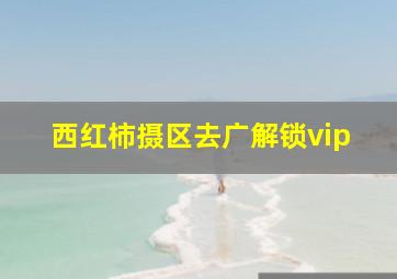 西红柿摄区去广解锁vip