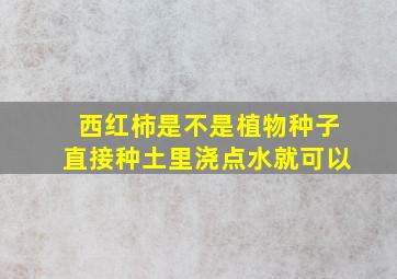 西红柿是不是植物种子直接种土里浇点水就可以