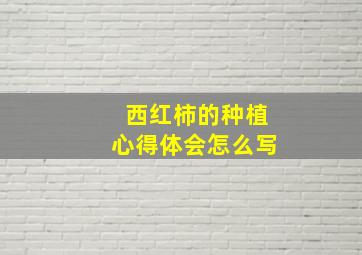 西红柿的种植心得体会怎么写