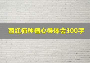 西红柿种植心得体会300字