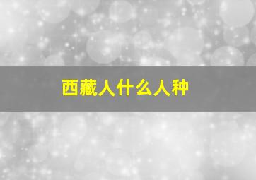 西藏人什么人种