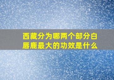 西藏分为哪两个部分白唇鹿最大的功效是什么