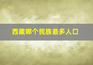 西藏哪个民族最多人口