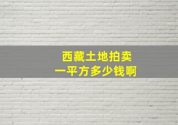 西藏土地拍卖一平方多少钱啊