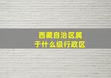 西藏自治区属于什么级行政区