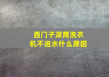 西门子滚筒洗衣机不进水什么原因