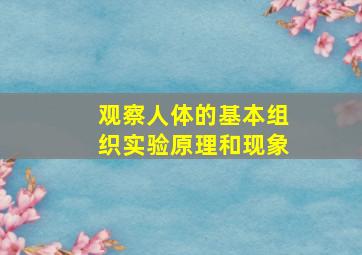 观察人体的基本组织实验原理和现象