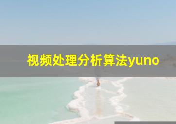 视频处理分析算法yuno