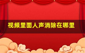 视频里面人声消除在哪里