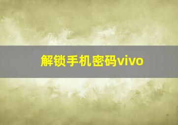 解锁手机密码vivo