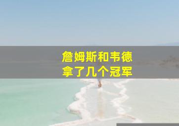 詹姆斯和韦德拿了几个冠军