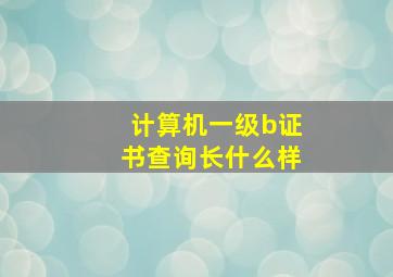 计算机一级b证书查询长什么样