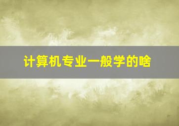 计算机专业一般学的啥