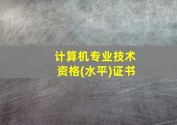 计算机专业技术资格(水平)证书