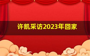 许凯采访2023年回家