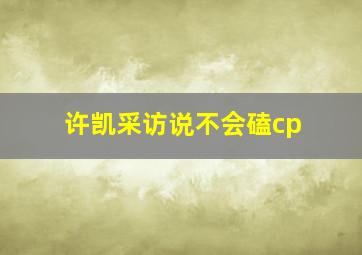 许凯采访说不会磕cp