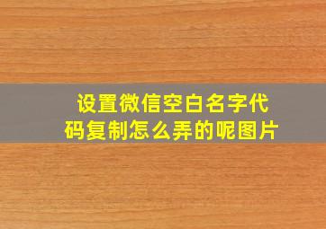 设置微信空白名字代码复制怎么弄的呢图片