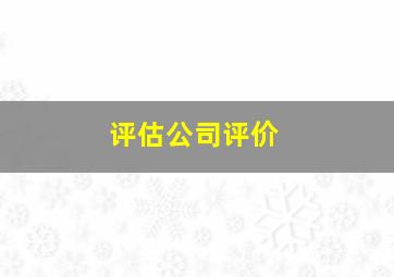 评估公司评价