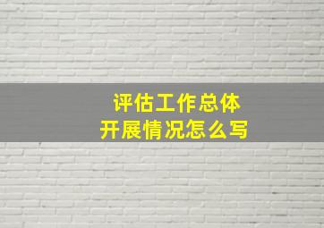 评估工作总体开展情况怎么写