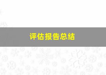 评估报告总结