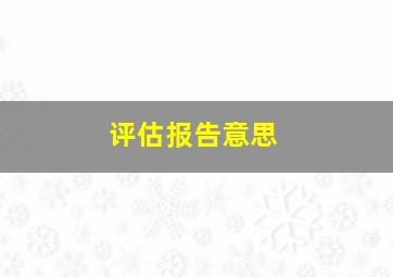 评估报告意思