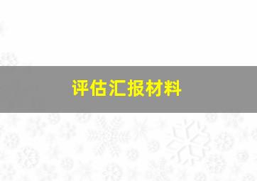 评估汇报材料