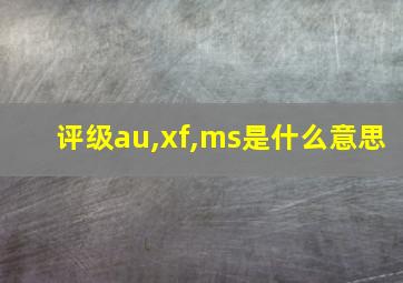 评级au,xf,ms是什么意思