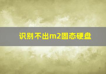 识别不出m2固态硬盘