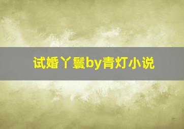 试婚丫鬟by青灯小说