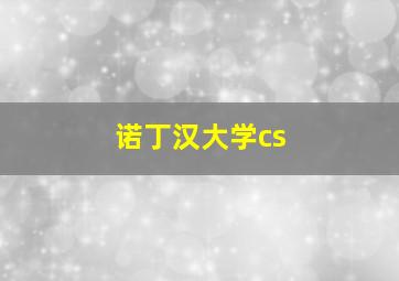 诺丁汉大学cs