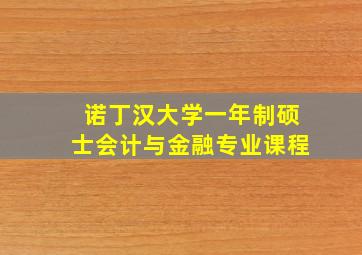 诺丁汉大学一年制硕士会计与金融专业课程