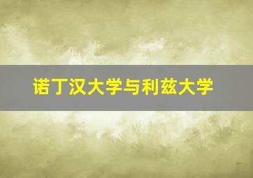 诺丁汉大学与利兹大学