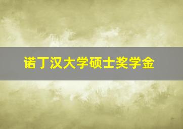 诺丁汉大学硕士奖学金