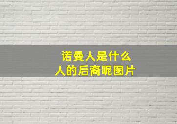 诺曼人是什么人的后裔呢图片