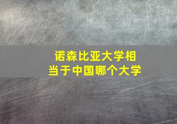 诺森比亚大学相当于中国哪个大学