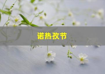 诺热孜节