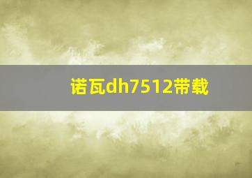 诺瓦dh7512带载